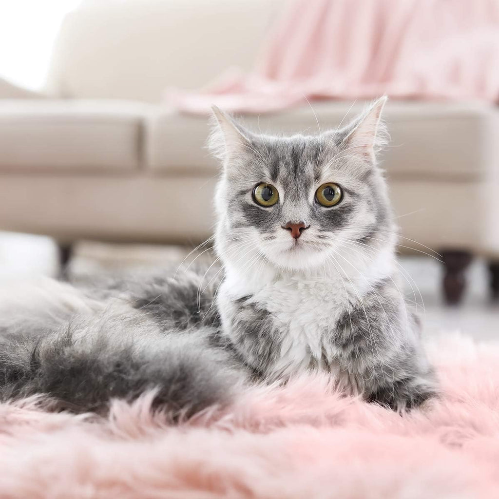 Faux Sheepskin Fur Area Rug Pink, 2X3 Feet, 2 Pack, Fluffy Soft Fuzzy Plush Shaggy Carpet Throw Rug for Indoor Floor, Sofa, Chair, Bedroom, Living Room, Home Decoration