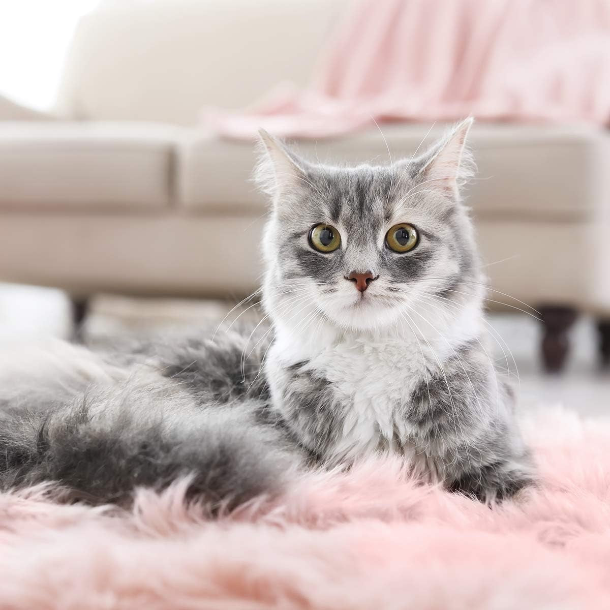 Faux Sheepskin Fur Area Rug Pink, 2X3 Feet, 2 Pack, Fluffy Soft Fuzzy Plush Shaggy Carpet Throw Rug for Indoor Floor, Sofa, Chair, Bedroom, Living Room, Home Decoration